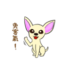 Sweetheart~the Big Ears Chihuahua（個別スタンプ：6）