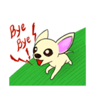 Sweetheart~the Big Ears Chihuahua（個別スタンプ：8）