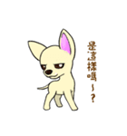 Sweetheart~the Big Ears Chihuahua（個別スタンプ：39）