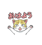 ふくふくねこのわくわくスタンプ（個別スタンプ：6）