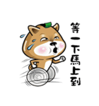 Shiba Inu Onigiri（個別スタンプ：2）