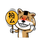 Shiba Inu Onigiri（個別スタンプ：25）