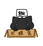 Black cat's life（個別スタンプ：3）