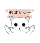 ねこ語スタンプにゃ（個別スタンプ：1）