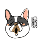 Half Sugar without ice frenchbulldog 3（個別スタンプ：4）