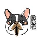 Half Sugar without ice frenchbulldog 3（個別スタンプ：10）