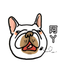 Half Sugar without ice frenchbulldog 3（個別スタンプ：22）