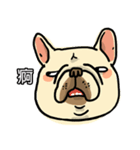 Half Sugar without ice frenchbulldog 3（個別スタンプ：23）