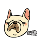 Half Sugar without ice frenchbulldog 3（個別スタンプ：28）