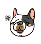 Half Sugar without ice frenchbulldog 3（個別スタンプ：36）