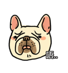 Half Sugar without ice frenchbulldog 3（個別スタンプ：39）