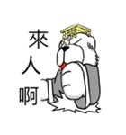 Lion's Head Dog-(Dog emperor)（個別スタンプ：17）