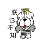 Lion's Head Dog-(Dog emperor)（個別スタンプ：19）