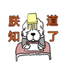 Lion's Head Dog-(Dog emperor)（個別スタンプ：33）