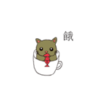 Cup shape cat（個別スタンプ：19）