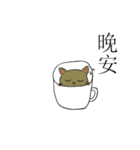 Cup shape cat（個別スタンプ：24）