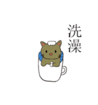 Cup shape cat（個別スタンプ：31）