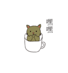 Cup shape cat（個別スタンプ：36）