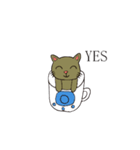 Cup shape cat（個別スタンプ：40）