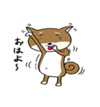 柴犬タロー（個別スタンプ：1）