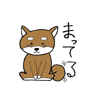 柴犬タロー（個別スタンプ：8）