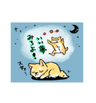 変な仔犬と謎の落書き（個別スタンプ：1）