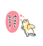 変な仔犬と謎の落書き（個別スタンプ：7）