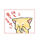 変な仔犬と謎の落書き（個別スタンプ：18）