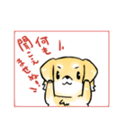 変な仔犬と謎の落書き（個別スタンプ：19）