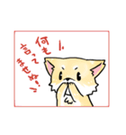 変な仔犬と謎の落書き（個別スタンプ：20）