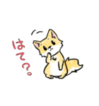 変な仔犬と謎の落書き（個別スタンプ：25）