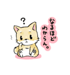 変な仔犬と謎の落書き（個別スタンプ：35）