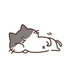 laid back Cat！（個別スタンプ：40）