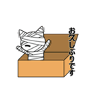 猫とおしゃべり-スタンダード-（個別スタンプ：5）