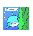 いるかのイルちゃん（個別スタンプ：11）