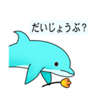いるかのイルちゃん（個別スタンプ：13）