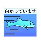 いるかのイルちゃん（個別スタンプ：27）