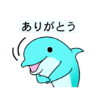 いるかのイルちゃん（個別スタンプ：37）