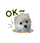 OK＆NO版・イラストっぽい子犬2（個別スタンプ：1）