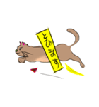 NYARU2（個別スタンプ：6）