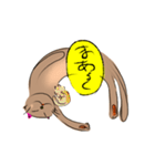 NYARU2（個別スタンプ：19）