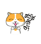 Tong Yong coolcat（個別スタンプ：1）