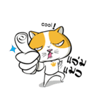 Tong Yong coolcat（個別スタンプ：3）