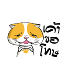 Tong Yong coolcat（個別スタンプ：6）