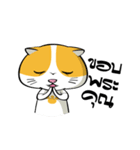 Tong Yong coolcat（個別スタンプ：7）