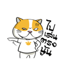 Tong Yong coolcat（個別スタンプ：10）