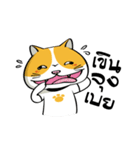Tong Yong coolcat（個別スタンプ：11）