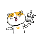 Tong Yong coolcat（個別スタンプ：13）