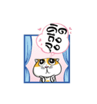 Tong Yong coolcat（個別スタンプ：15）
