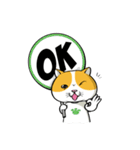 Tong Yong coolcat（個別スタンプ：16）